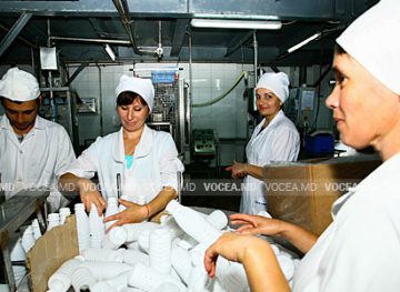 Молдавским работникам могут обеспечить более высокий уровень защиты