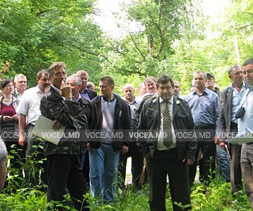 Poziția Federației „Sindsilva” privind reforma anunțată a ramurii silvice