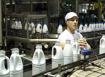Производители молочной продукции: между законом и погоней за прибылью