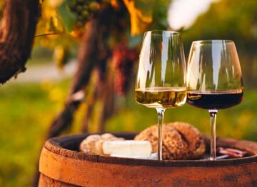 Farmecul vinurilor moldovenești: o simfonie a gustului, aromei și istoriei