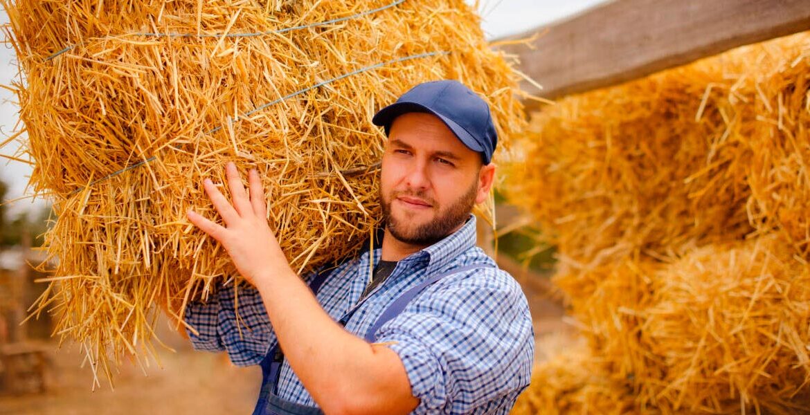 Крестьянское хозяйство и трудовые отношения